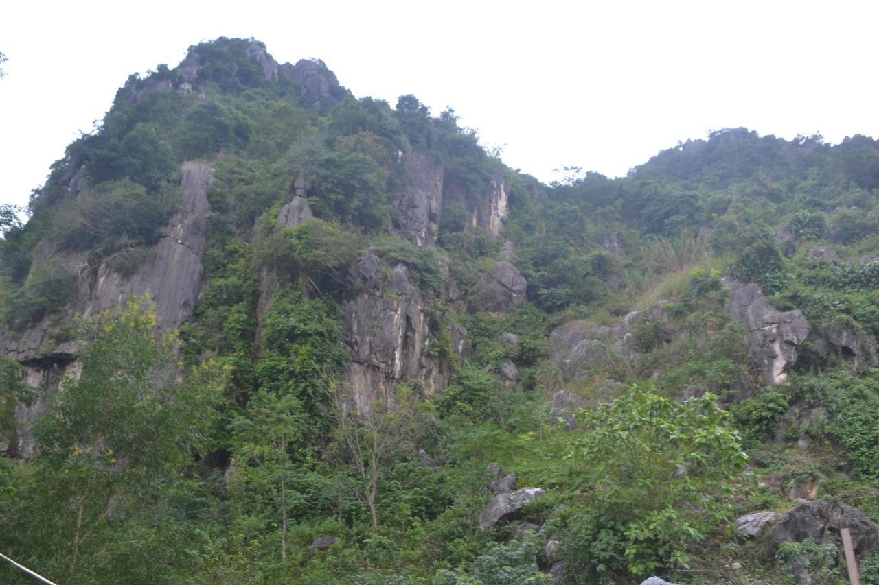 Phong Nha Homestay エクステリア 写真