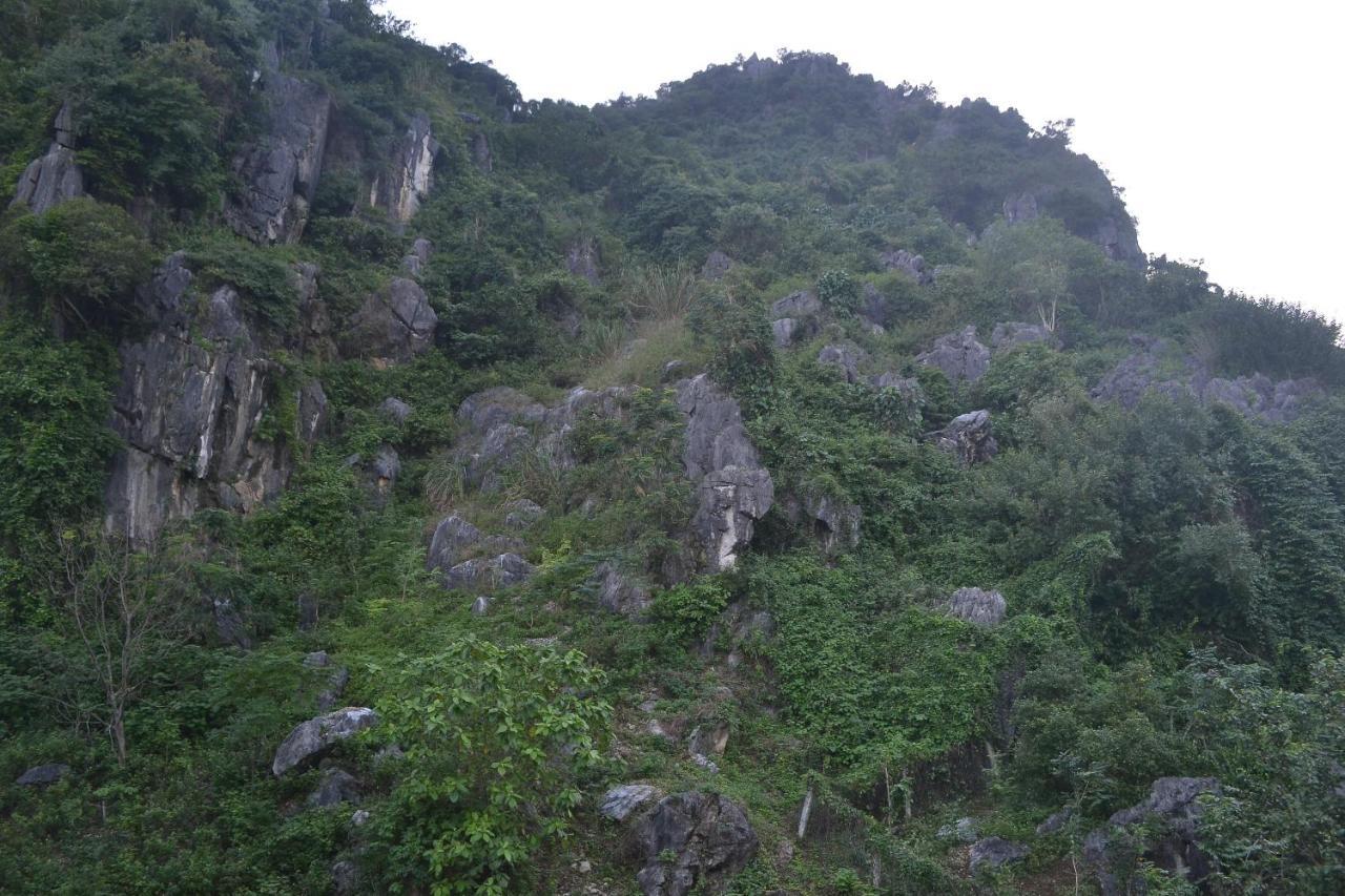 Phong Nha Homestay エクステリア 写真